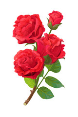 vector realistic rose flower art