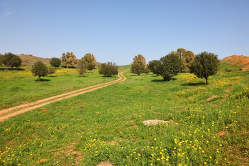  The rural footpath