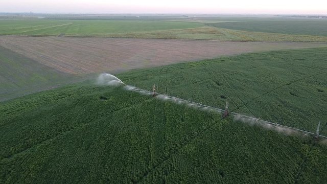 Field from a bird's eye view, automatic watering of soybeans, watering system of fields top view.