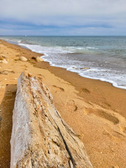 tronc d'arbre sur une plage en été