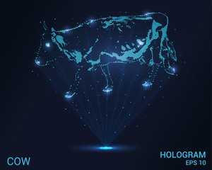 Cow hologram. Holographic projection of a cow. A flickering energy stream of particles. Research design the cow.