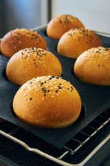 Freshly baked homemade burger buns with sesame