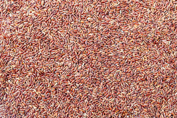 Background of uncooked brown wild rice. Red grains, organic natural healthy food top view. Ingredient for traditional Asian cuisine.