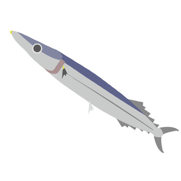 400 件の最適な サンマのイラスト 画像 ストック写真 ベクター Adobe Stock