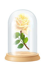 vector white rose, glass flask