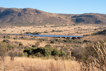 Fototapeta na wymiar A dam wall in a South African game reserve.