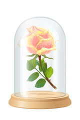 vector vintage rose, glass flask
