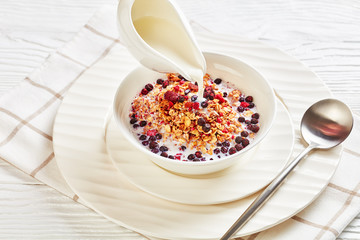 Oat Granola with dried berries and nuts