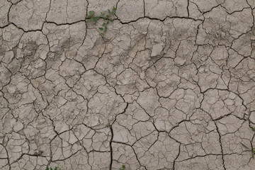 Structure of the dry field, Slovkia