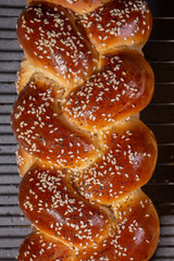 Just made pigtail bread with poppy and sesame seeds. Close up.