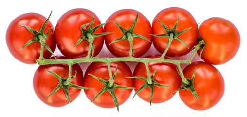 little red tomatoes on a branch on a white background. cherry tomatoes. healthy food.