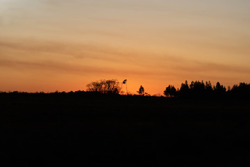 Late afternoon and evening in the fields of the Pampa Biome in southern Brazil
