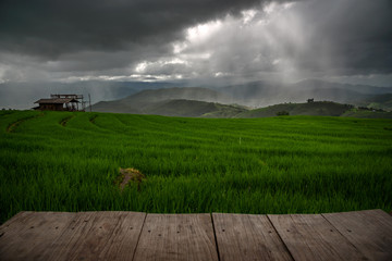 The beautiful scenery of the green terraced rice field with light rays while raining at Bong Piang forest in the rainy season in Mae Chaem, Chiang Mai, Thailand.