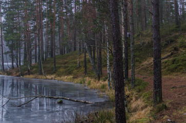 лен. область, голубые озера