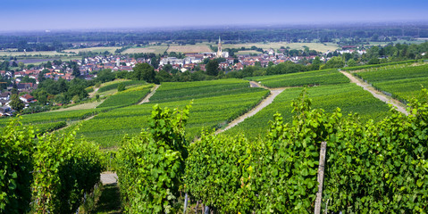 View from Fremersberg to the town of Sinzheim with the Rhine valley near Baden Baden. Baden Wuerttemberg, Germany