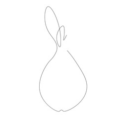 Pear fruit on white. Vector illustration
