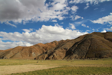 View of the mountains and barley field with dramatic sky in Tibet, China