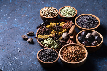 Dry warming Indian spicesin on plate for autumn winter meal on dark blue concrete background.