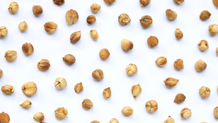 Siam Cardamom or Kapulaga on white background.