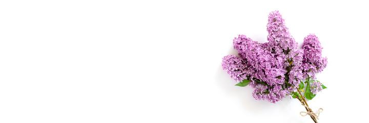 Banner with bouquet of lilac flowers on a white background. Creative header template with place for text.