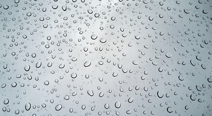 Drops of rain on glass