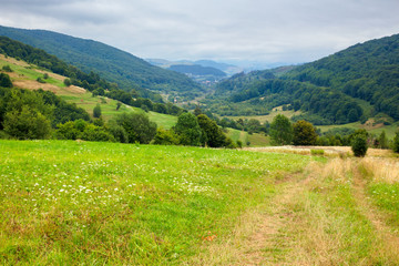 Naklejka na ściany i meble country road through rural field. suburban summer landscape in mountains. village in the distant valley. cloudy day