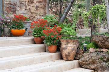 House exterior small garden with red flowers in clay pots,