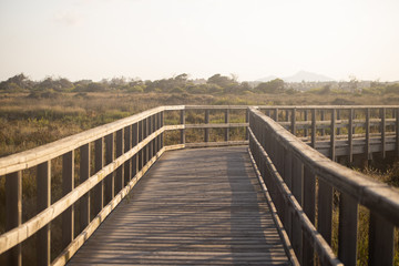 Fototapeta na wymiar wooden path to beach in San Pedro del Pinatar, Murcia, Spain