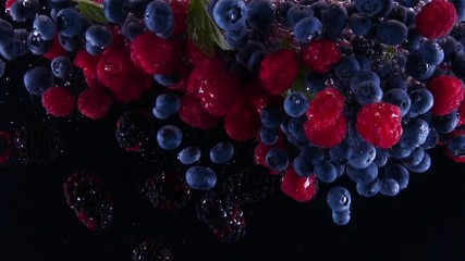 Blueberries, blackberries and raspberries splashing in to the water. Lots of berries falling slowly on a black background. Organic forest fruit isolated on black background. - Powered by Adobe