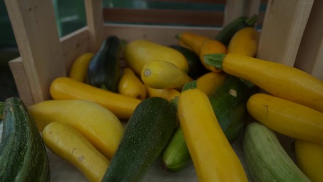 zucchini on display at local farmers market.