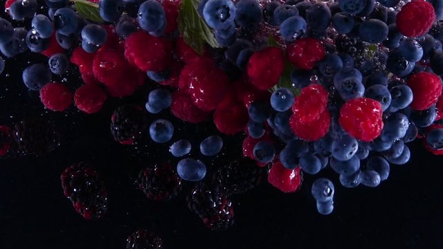 Blueberries, blackberries and raspberries splashing in to the water. Lots of berries falling slowly on a black background. Organic forest fruit  isolated on black background. 