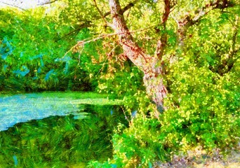 Oil paintings landscape, green tree in the park