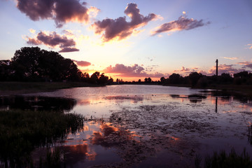 Obraz premium City lake overgrown with reeds against the sunset sky, summer landscape
