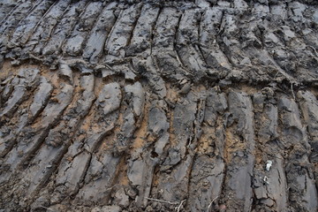 Caterpillar Tracks Traces On The Ground. Track on sand background, Texture 
