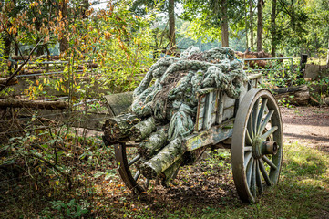 Old farm wagon with a bunch of rope on top in the forest.