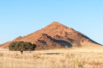 Landscape, with a tree and mountain, on road D707