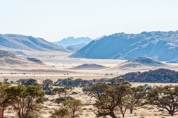 Landscape at Koiimasis on the edge of the Namib desert