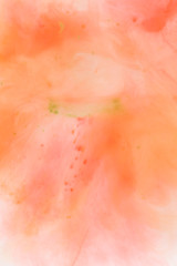 coral orange and red water colours background