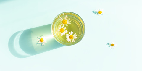 Herbal medicinal tea in a glass with chamomile flowers on a blue background.
