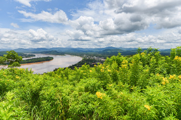 panorama of beautiful countryside of Thailand - view on mountain plant and yellow flowers with river and blue sky background