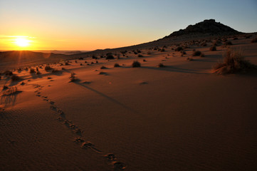 Fototapeta na wymiar Sunset over the Uri-Hauchab district in the Namib desert with oryx tracks in the foreground