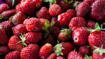 Freshly picked strawberries. Strawberry. Food background. Red ripe strawberry background. Close-up, top view. Strawberry texture macro shot. Beautiful berry, healthy food.