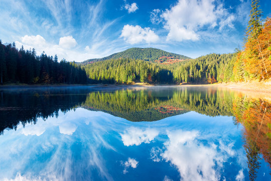 mountain lake among the forest. trees in colorful foliage. beautiful landscape on a sunny autumn morning. blue sky reflecting in the water