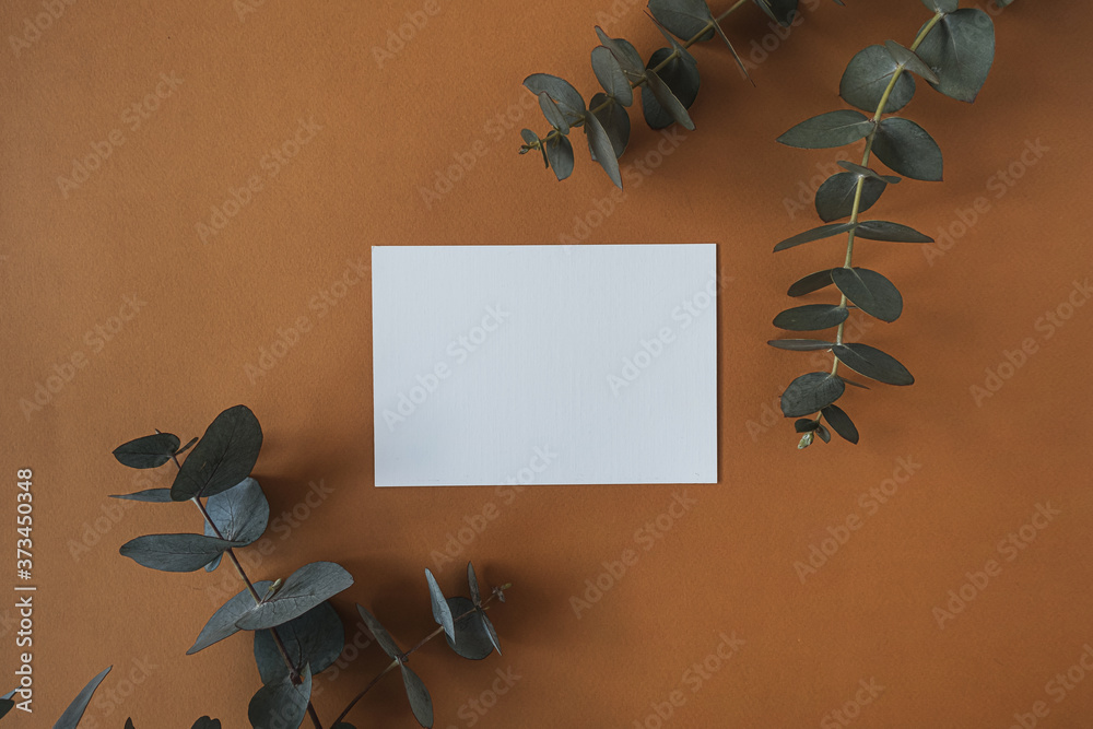 Wall mural blank paper sheet card with empty copy space, dry eucalyptus branch on deep red background. flat lay