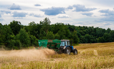 Fototapeta premium Old blue tractor with a trailer works in a mown rapeseed field against the backdrop of a forest on a sunny day. Seasonal work on a tractor for processing the earth with mineral substances. Back view