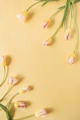 Frame made of yellow tulip flowers on yellow background. Flat lay, top view festive holiday celebration. Copy space mockup