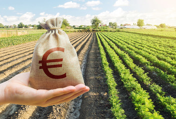 Hand holds out a euro y bag on a background of a carrot plantation. Support and subsidies. Lending farmers for purchase land and seed material, modernization. Revival of the village. Farm loans. - obrazy, fototapety, plakaty