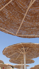 natural parasol texture © jonnysek
