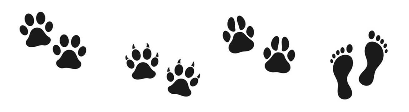 Set of human and animal footprints. Bare human feet. Cat and dog trace. Pet store icon. Steps.