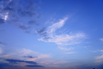 羽を広げた鳥のような雲 / Clouds looks like a flying bird silhouette